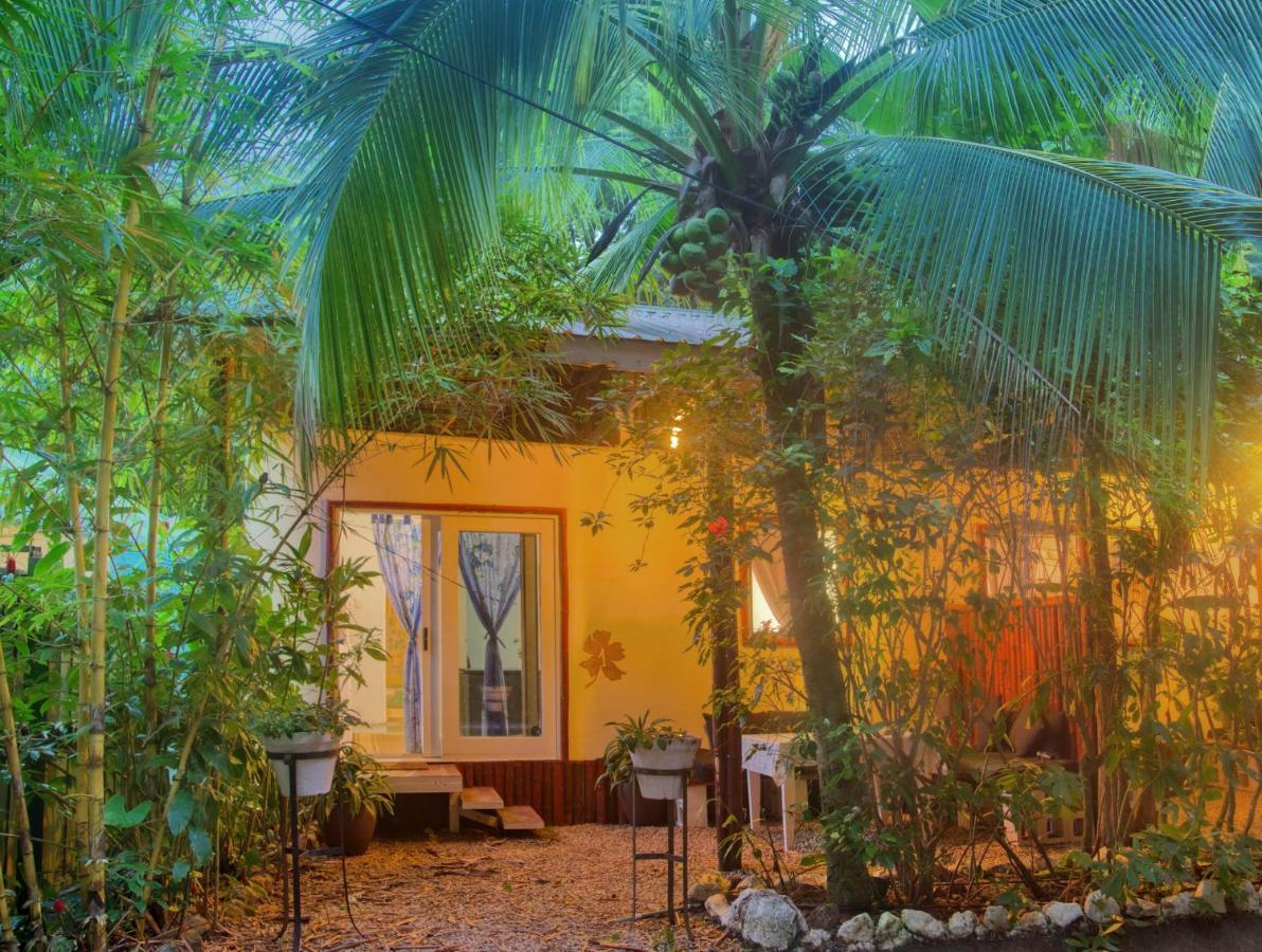 Hotel Jungle'S Edge Nosara Exterior foto