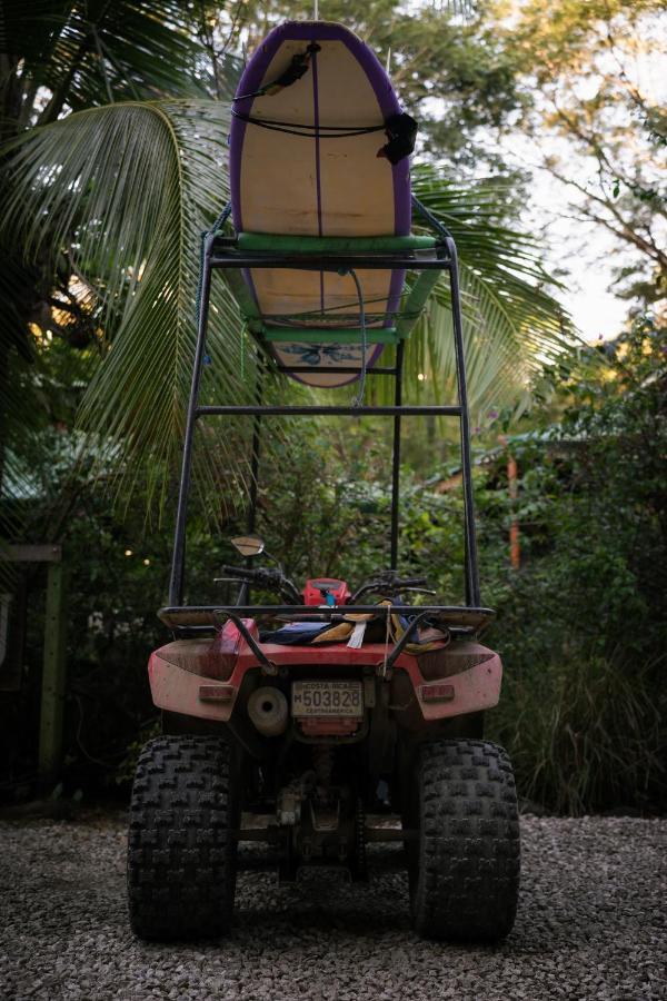 Hotel Jungle'S Edge Nosara Exterior foto