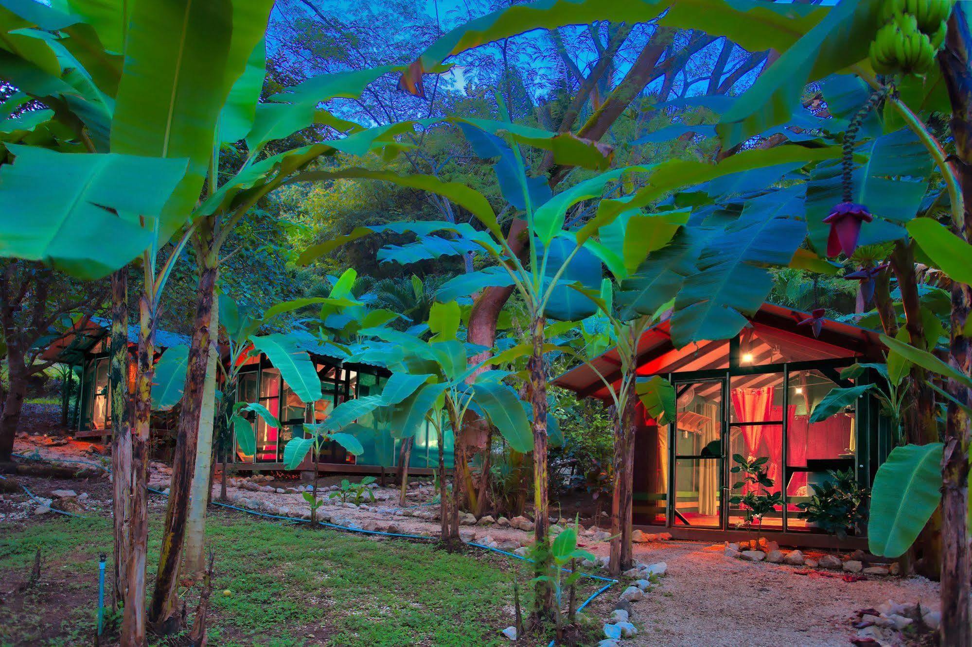 Hotel Jungle'S Edge Nosara Exterior foto